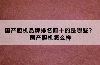 国产胆机品牌排名前十的是哪些？ 国产胆机怎么样